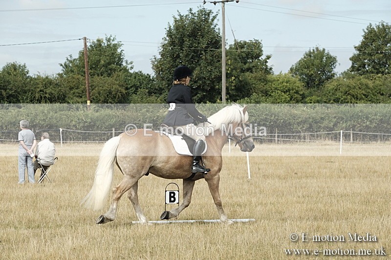_PJP5718 - Dressage Classes BVRC Show 2018