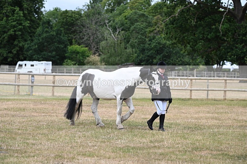 WJ6_4581 - Class 10 Coloured In-hand