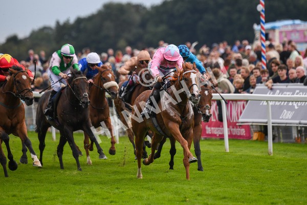 250823-Race 4-Live In The Dream-0656 - Race 4 3.35pm Coolmore Wootton Bassett Nunthorpe Stakes