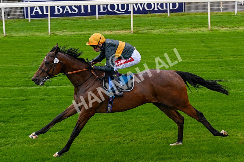 130526-Race 1-Cut A Dash-0065 - Race 1 1.45pm British Stallion Studs EBF Novice Stakes