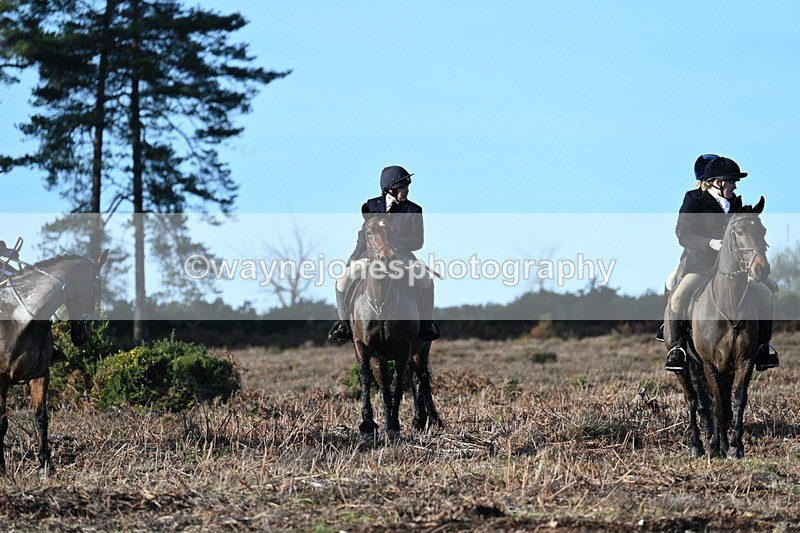 WJ7_7323 - Line 3 (no line 4 or 5)