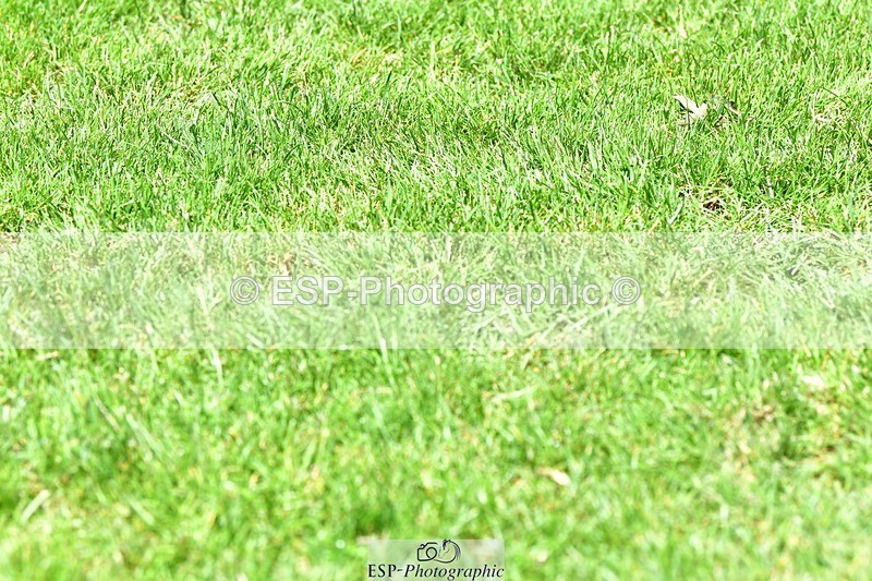 230707-140518-08205 - Cls 13 Newcomers 2nd R