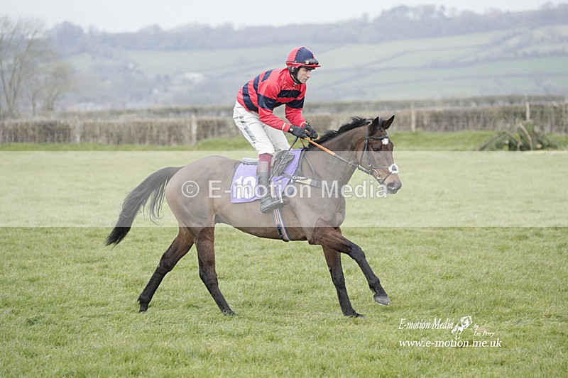 PtP 050323 954 - Blackmore & Sparkford Vale Hunt PtP - Somerset 05/03/23