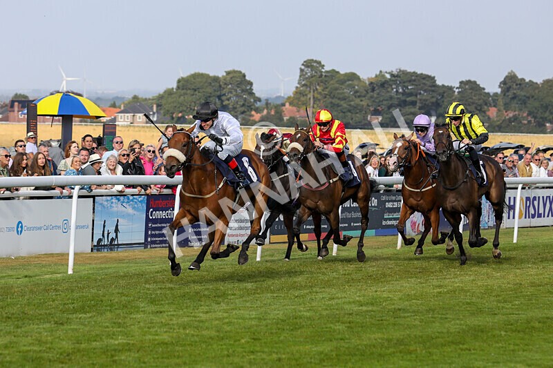 310824-Race 7-Zapphire-2141 - Race 7