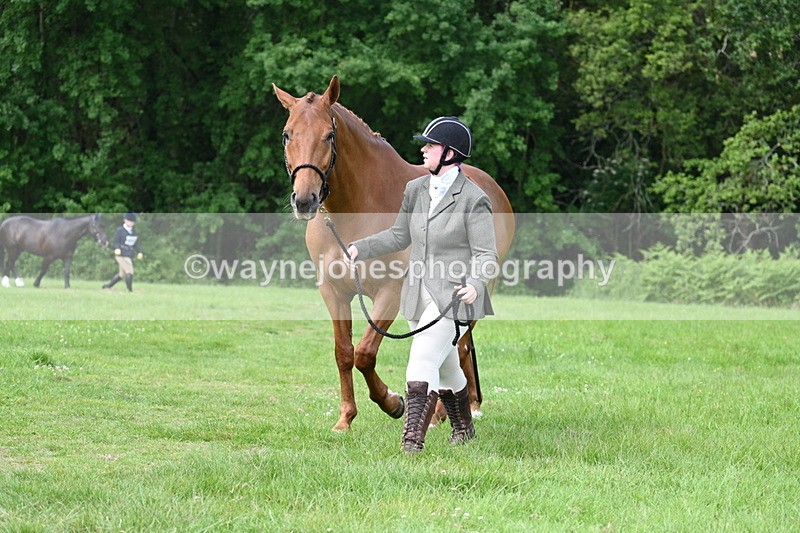 WJ7_0989 - Class 11 Condition & Turnout