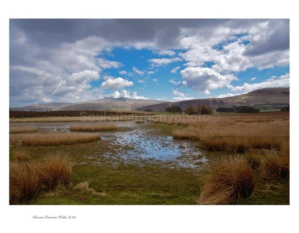  - Landscape