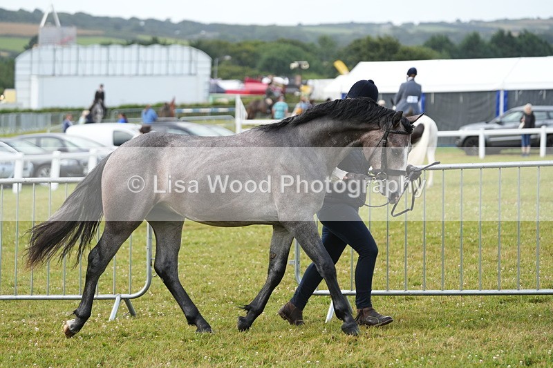 DSC04719 - Class 47: NPS M&M Yearling