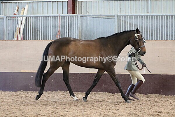 SIAL9792 - Indoor Classes