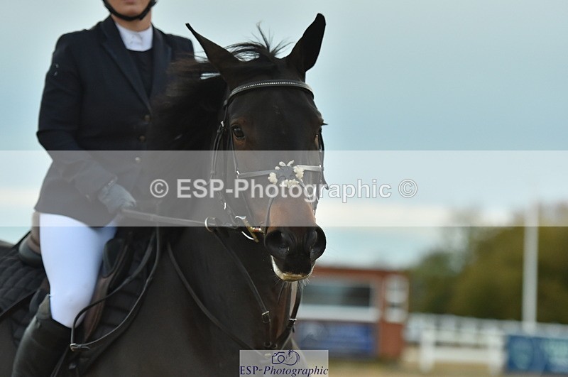 231111A-145628-02353 - Cls 14 Blue Chip 1.25m Winter Qualifier