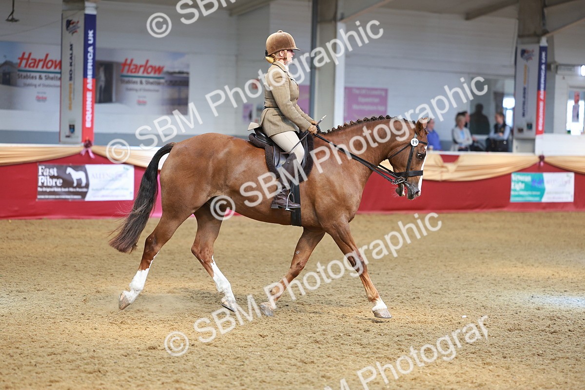 SBM_10627 - Class 103 - HOYS Veteran Qualifier - Ridden Pre Vet