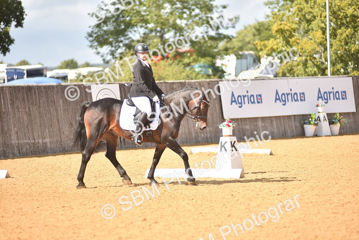 SBM_24186 - D4 - Small Tour Championship Intro 4