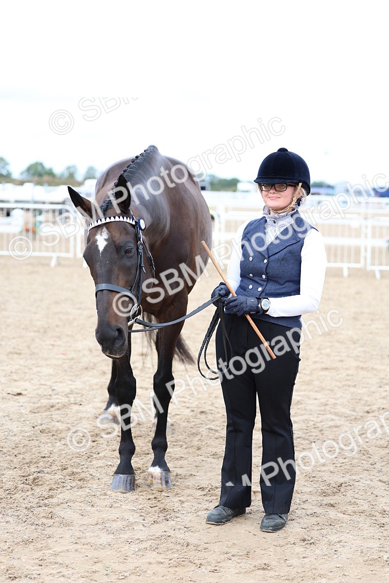 SBM_05758 - Class 28 - IH Veteran Horse