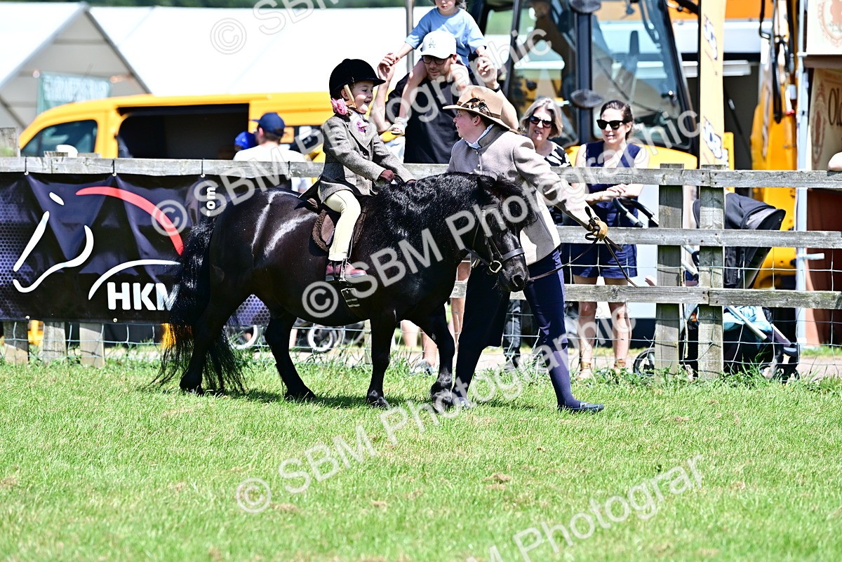 SBM_05872 - Class 59-60 - TSR M&M  Lear Rein and First Ridden Amateur of the year