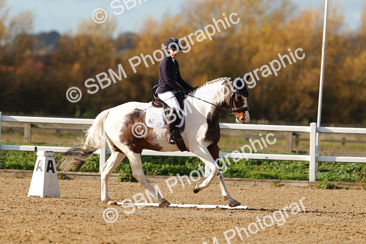 SBM_001139 - Novice 5