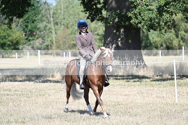 WJ7_3990 - Class 9 Mountain & Moorland Ridden
