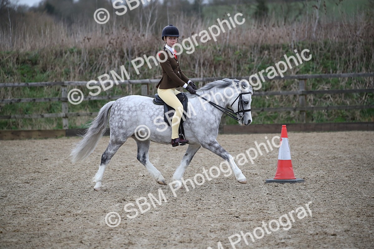 SBM_005890 - Class 10-13 - RIHS Small Large Breeds