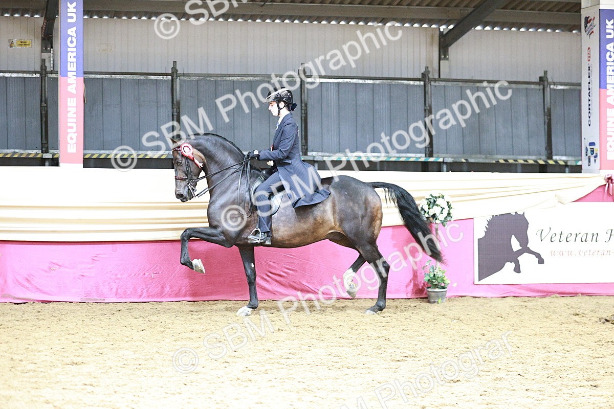 SBM_03723 - Class 6A Area Ridden Pre-Vet