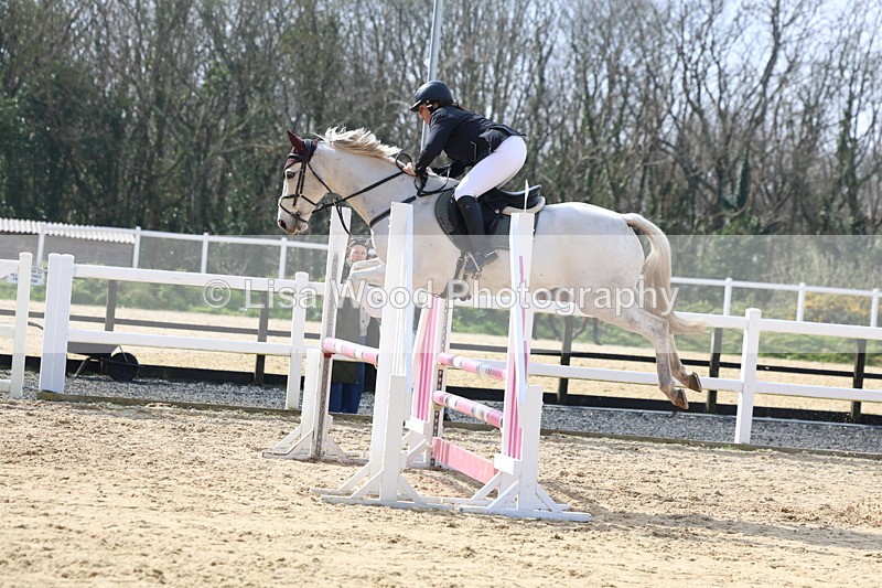 3E7A6669 - Class 4: Senior British Novice/90cm open