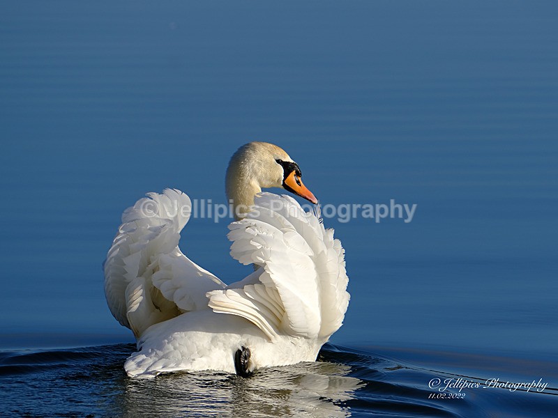  - Wildlife and Nature