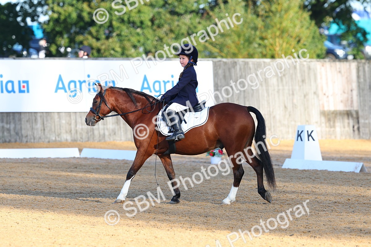 SBM_33503 - D26 - Test Starter Test 1