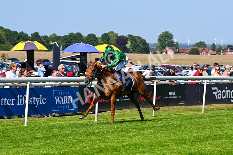 230626-Race 5-Percys Daydream-1484 - Race 5 16.17pm Humberside Airport Handicap
