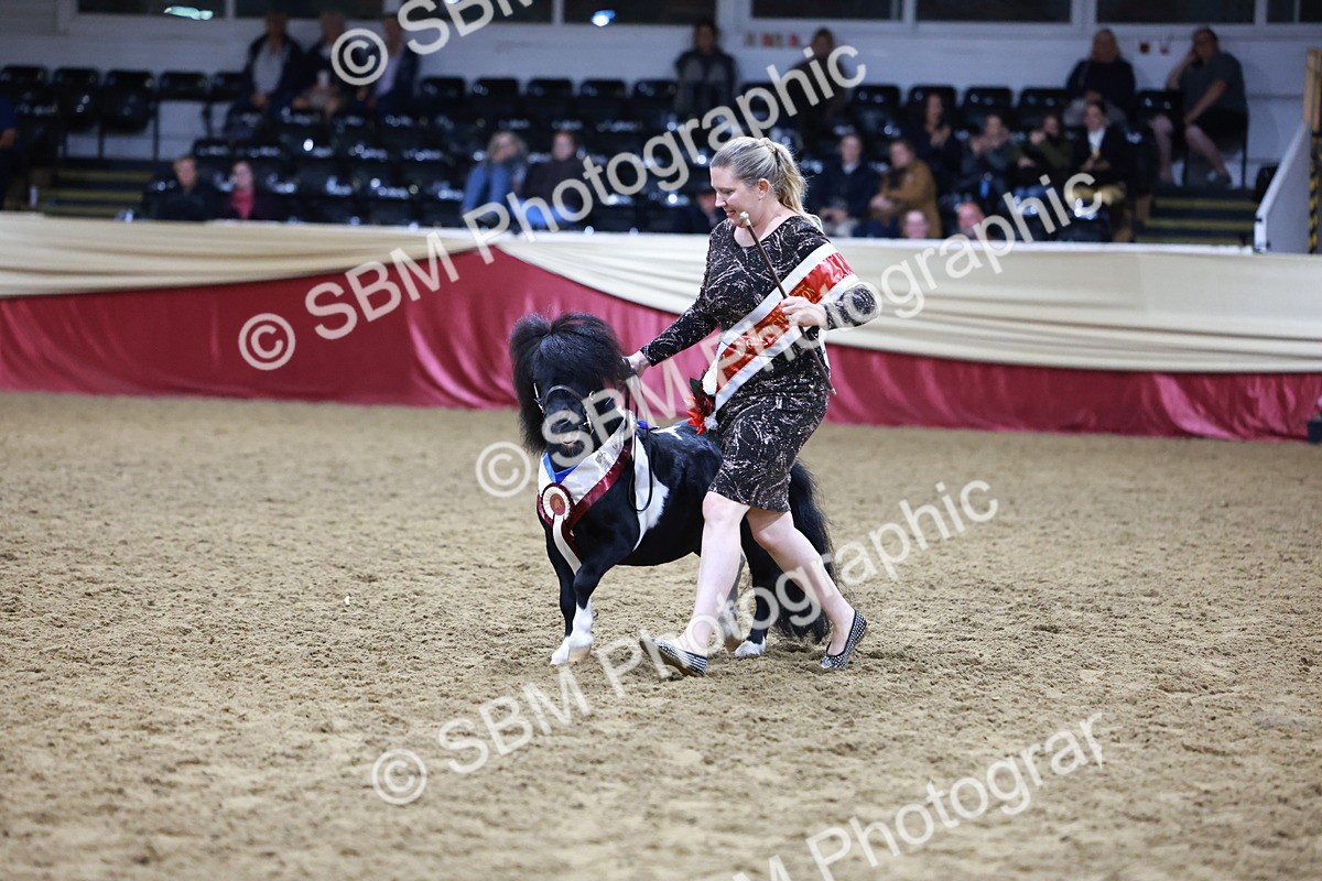 SBM_20881 - Class L - Coloured Champ