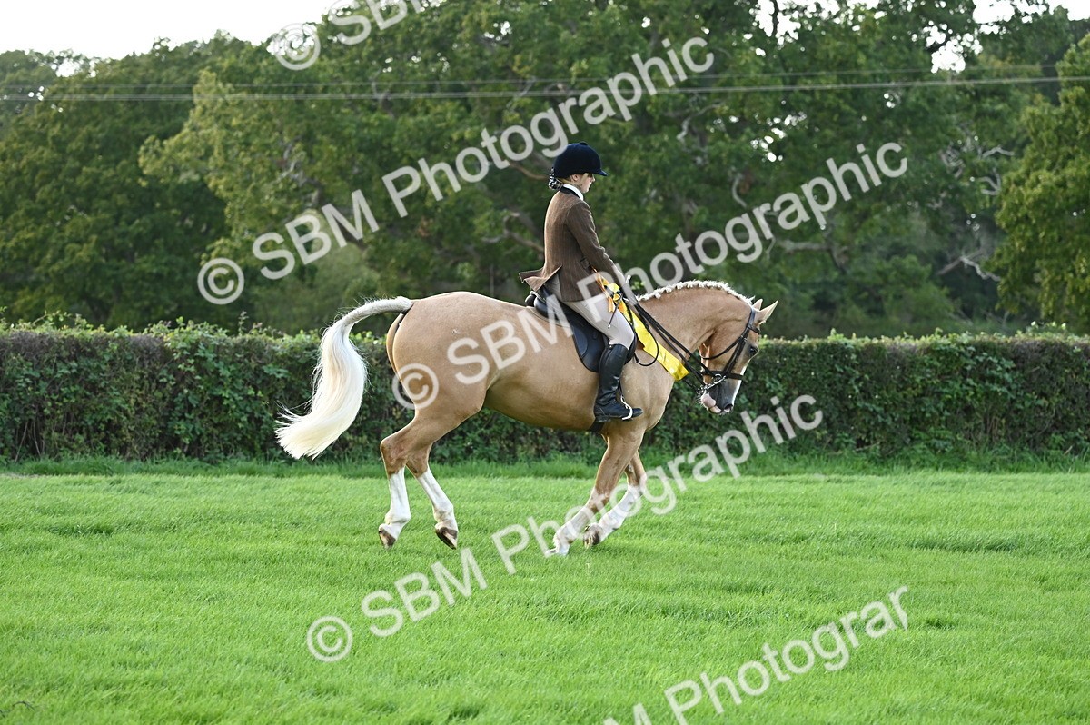 SBM_26509 - S6 - Novice & newcomer Ridden horse