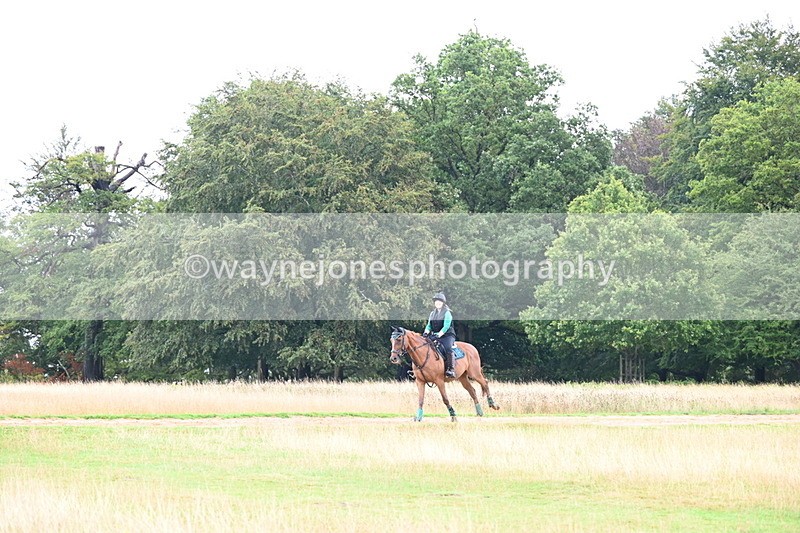 DSC_3727 - Time at Statue 13:51 to 14:55