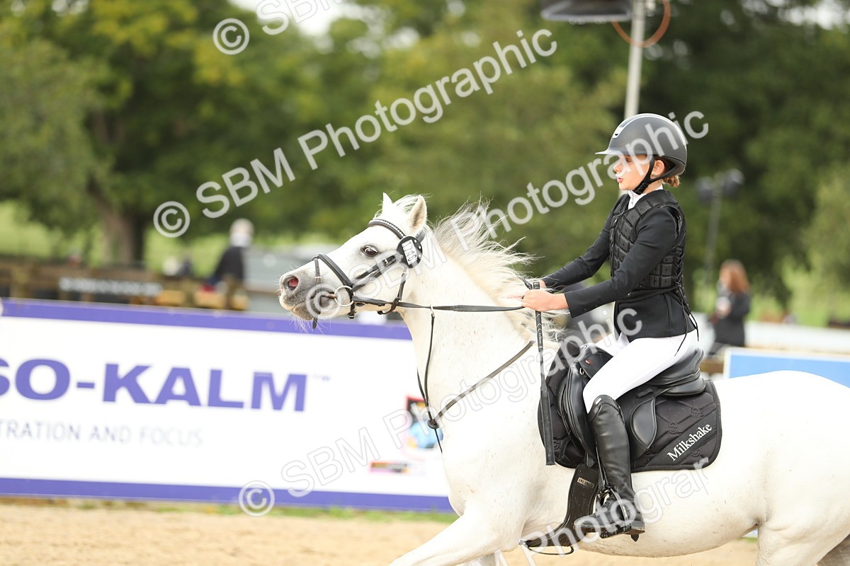 SBM_34212 - J60 Clear Round 50cm