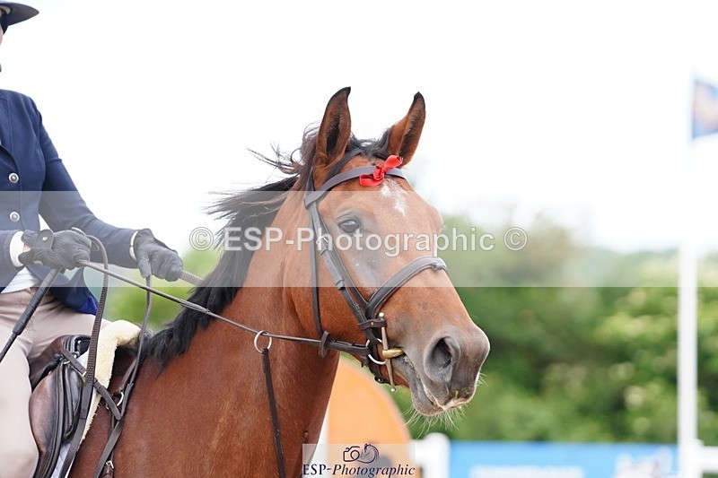 250525-103454-09130 - Cls 32 A&B Snr Brit Nov & 90cm Open