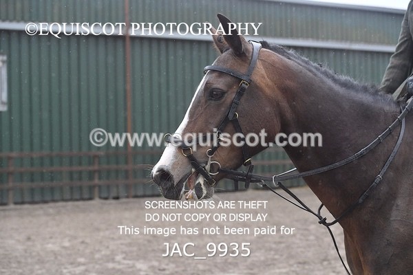 JAC_9935 - CLASS 3 Intermediate Working Hunter (0.70m - 0.85m)