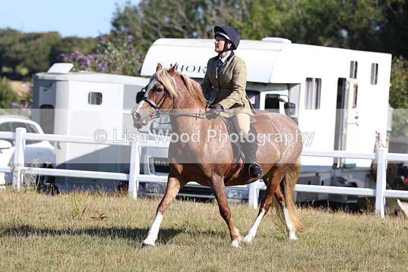 3E7A5431 - Class 3: Working Hunter 70cm