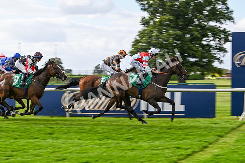 030824-Race 6-Night Breeze-1911 - Race 6