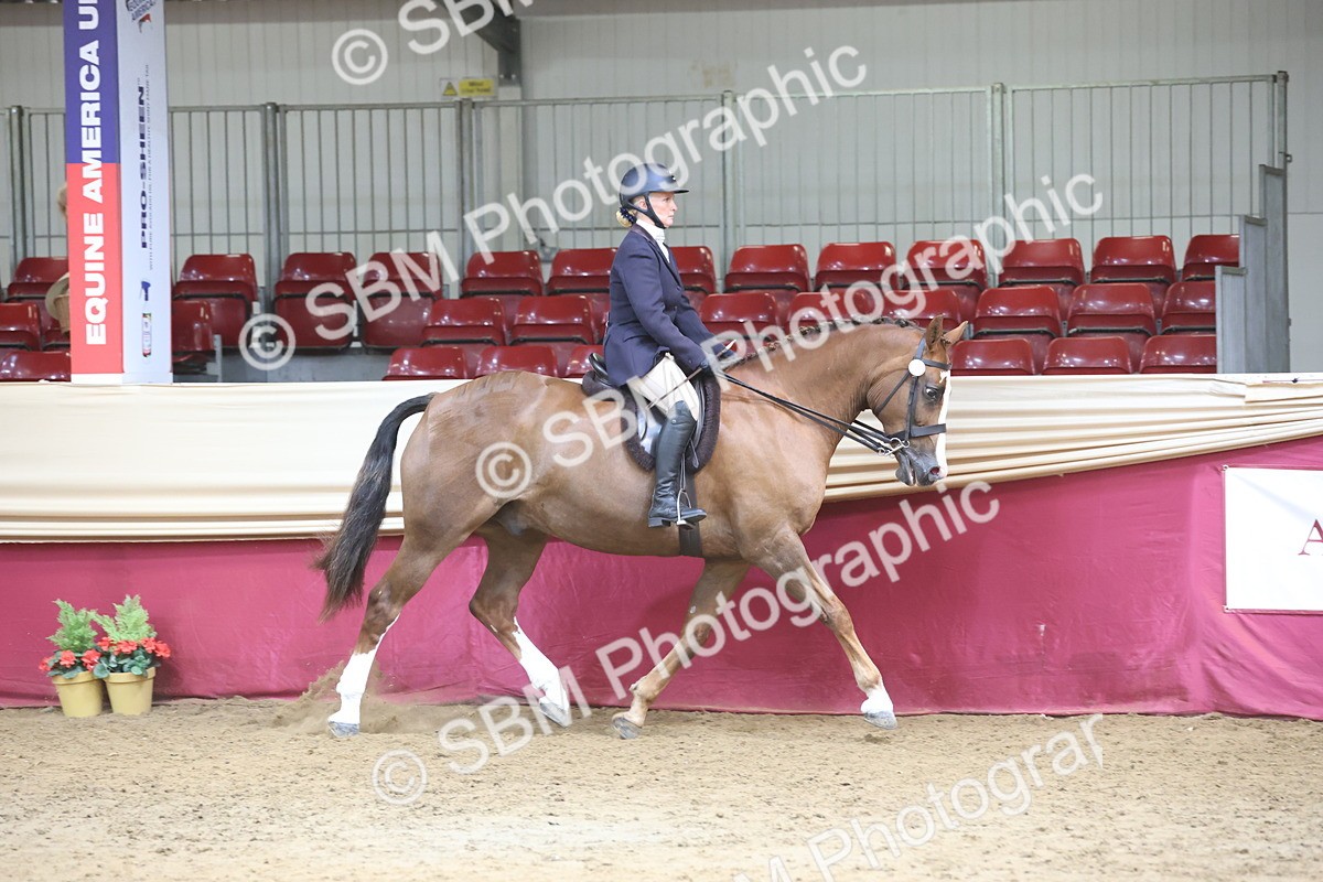 SBM_23707 - class 906 - Supreme Final - Ridden Pre Vet