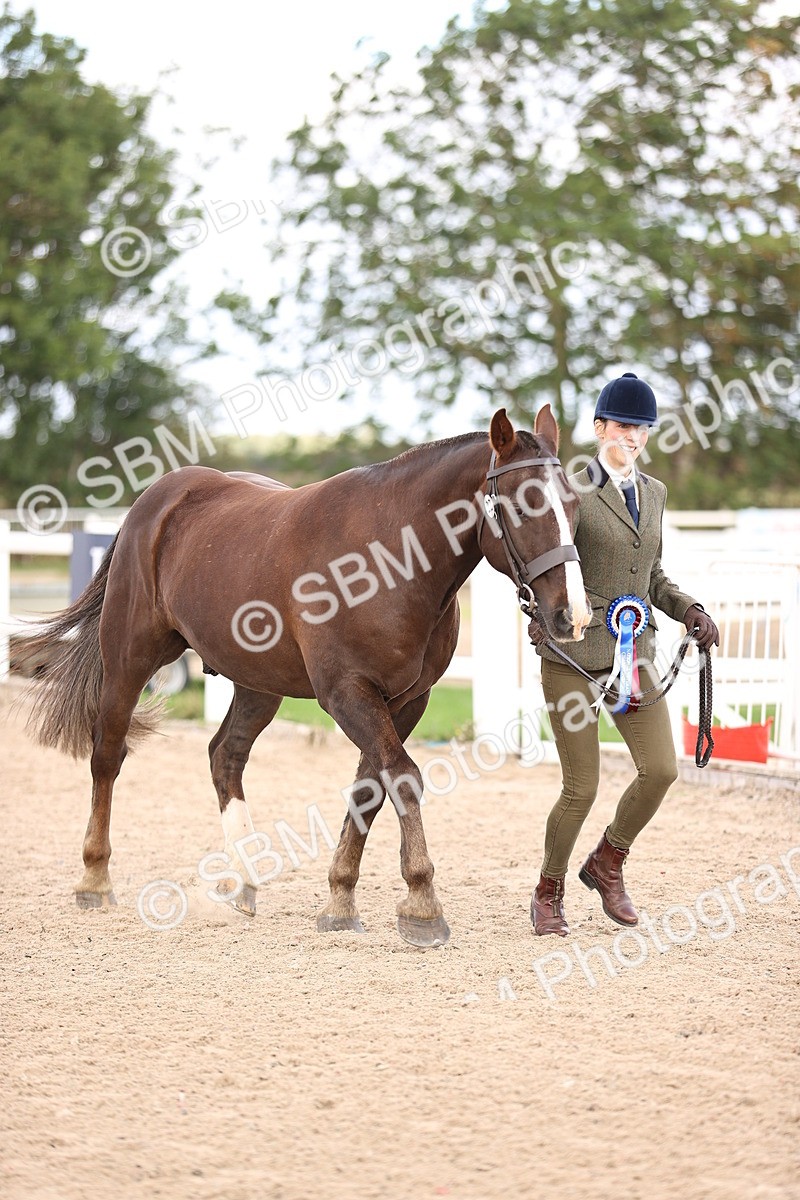 SBM_10408 - Class 405 - IH Show Cob