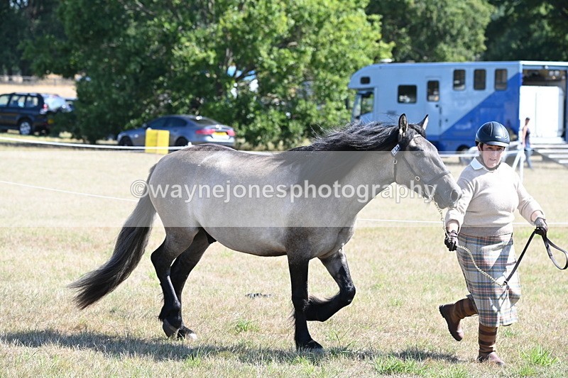 WJ6_4485 - Class 17 Mountain & Moorland