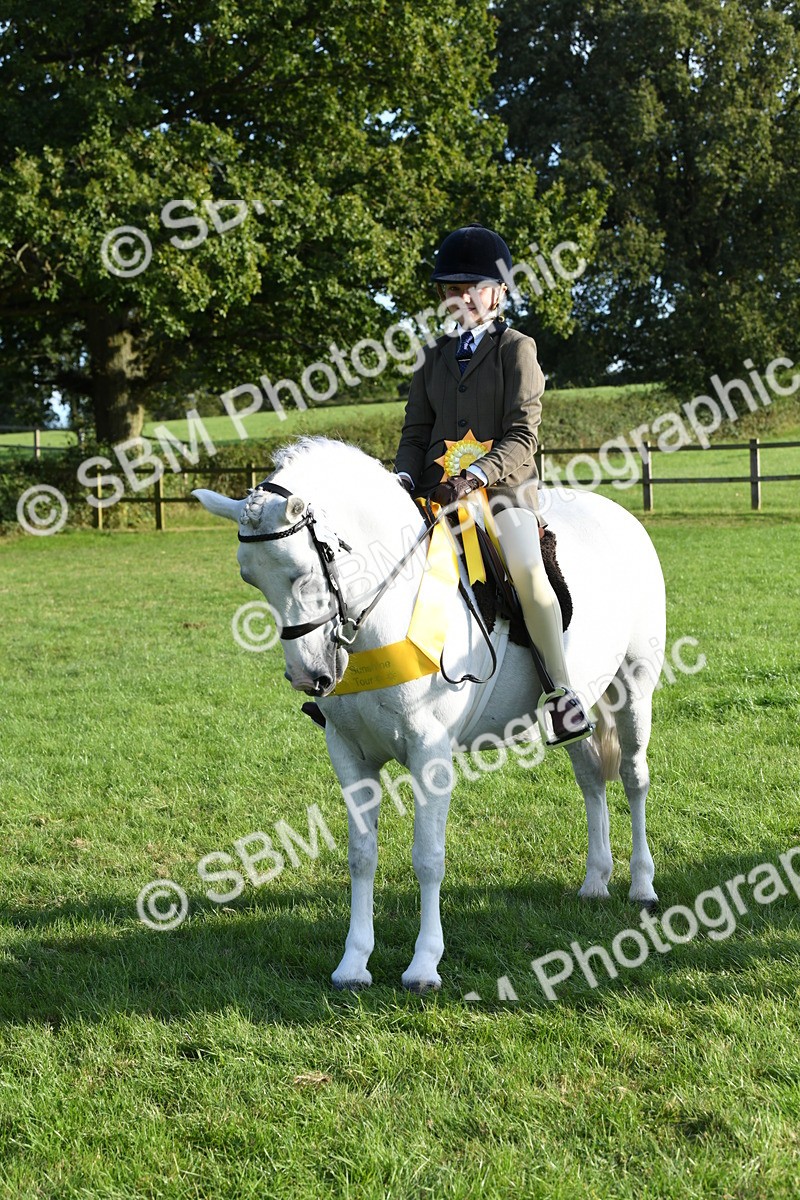 SBM_52438 - S22 - 1st Ridden Show & Show Hunter Pony