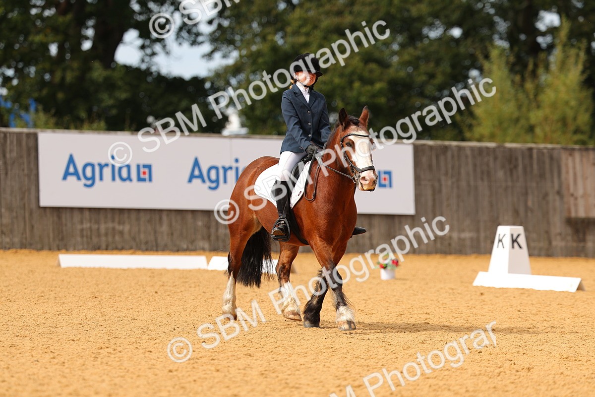 SBM_48141 - D22 - Junior Championship - Intro B