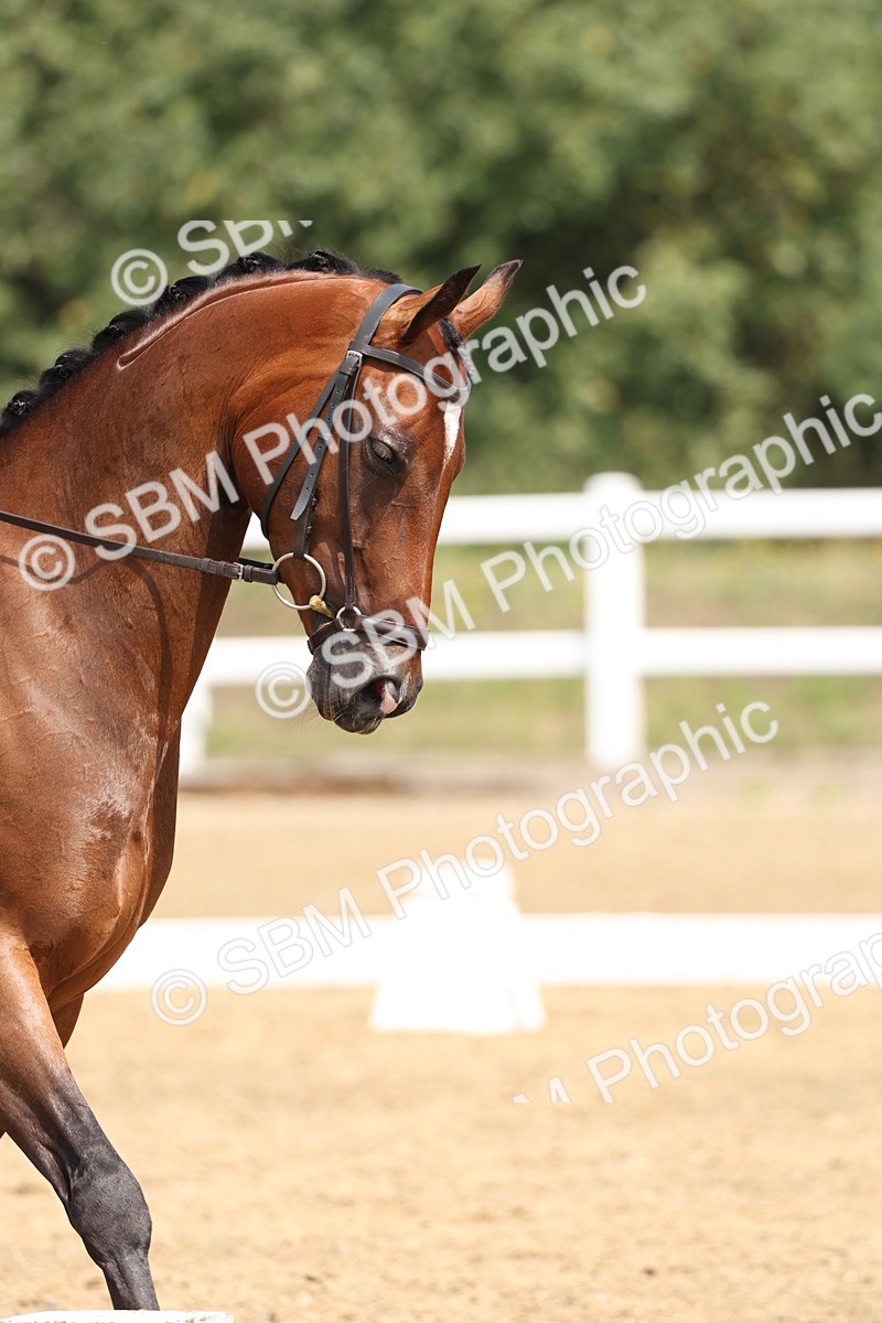 SBM_006154 - Class 6 - novice 6 - 11.50-12.46