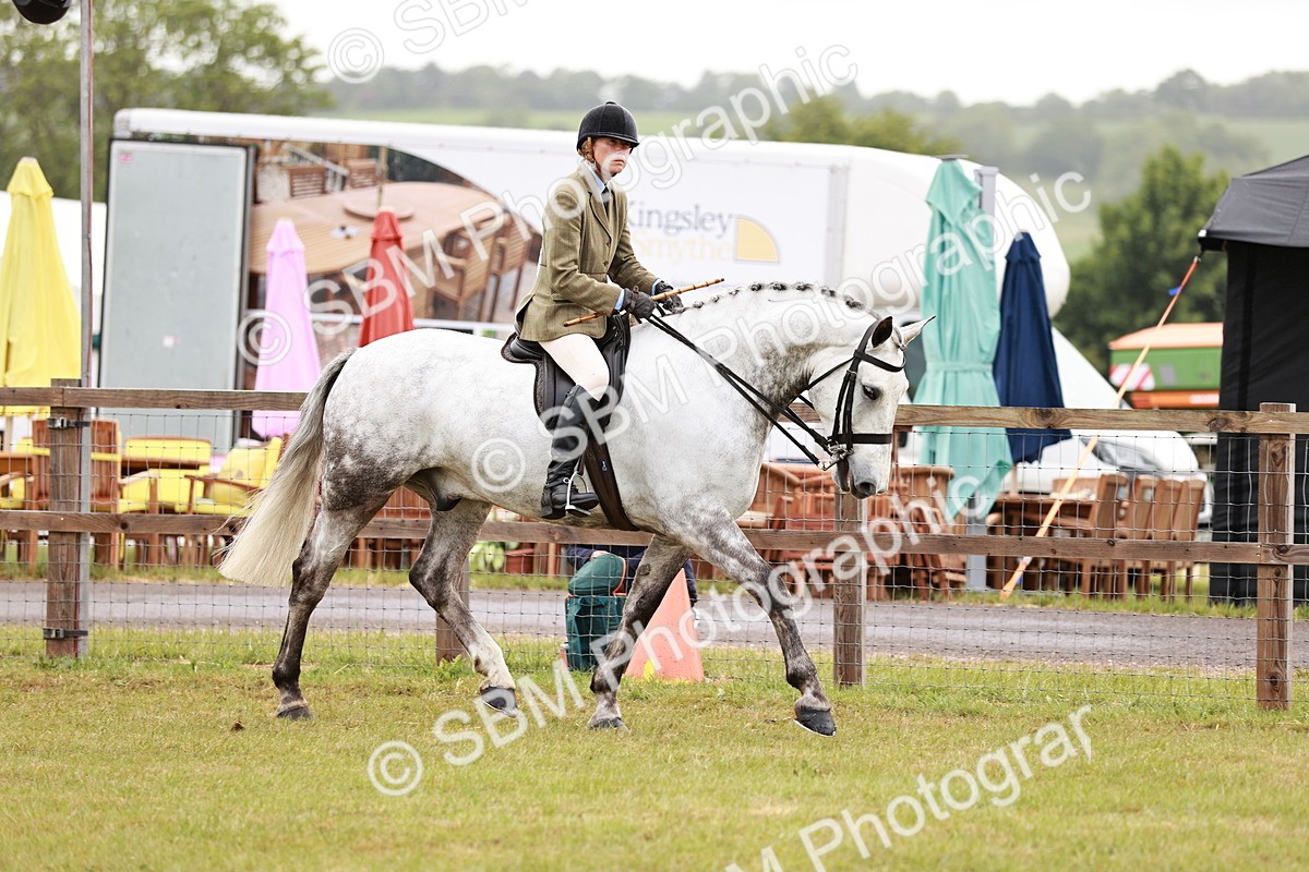 SBM_10738 - Class 81-84 - RIHS Ridden hunters Inc Ladies Hunter