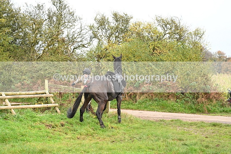 WJ7_0439 - Camera 1 & Last fence