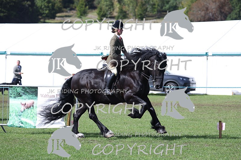 APP_3539 - Class 12 M&M ridden