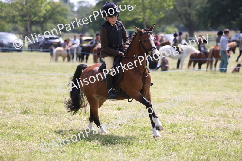 20260614-1762 - Class 21 - Novice Working Hunter Pony