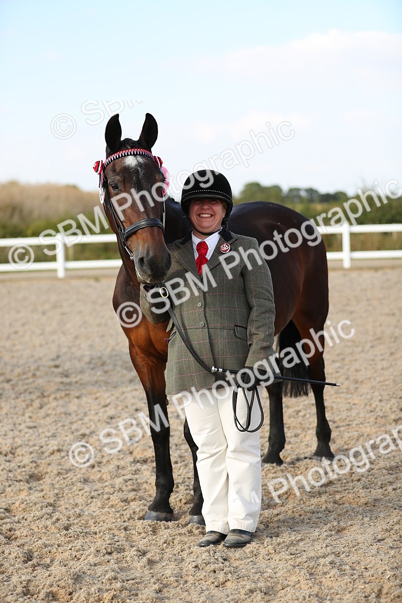 SBM_08703 - Class 28 - IH Veteran Horse