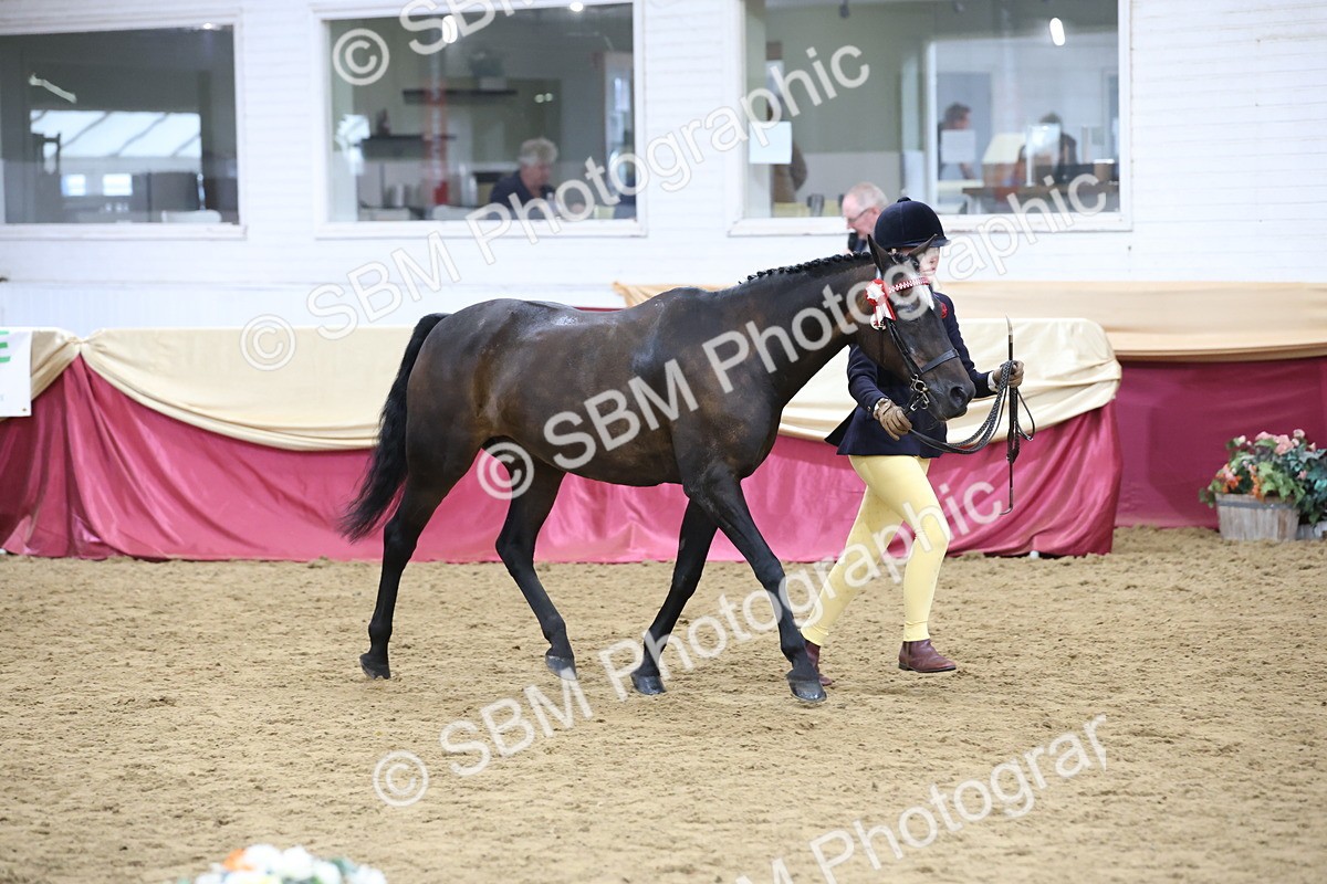 SBM_23610 - Class 904 - Supreme Final - Ridden Diamond