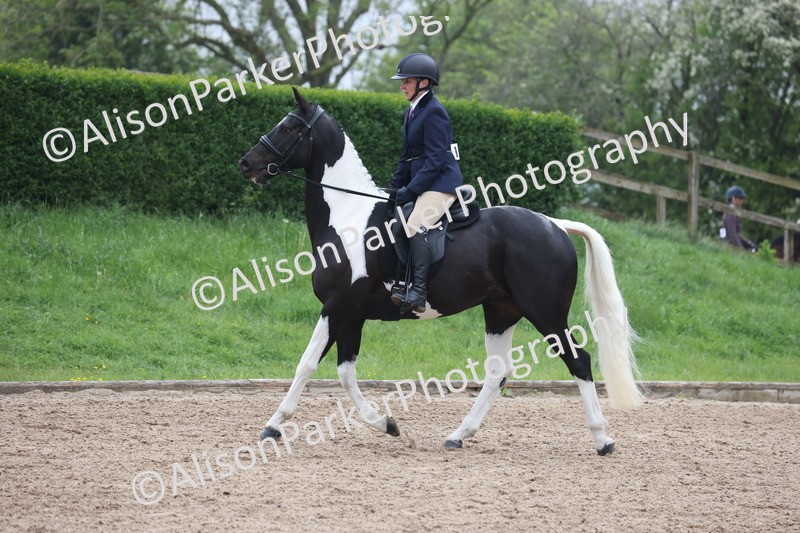 20260504-1050 - Class 14 - Cob and Hunter