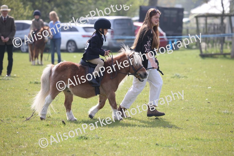 20260426-0384 - Class 30 - Tiny Tots Lead Rein