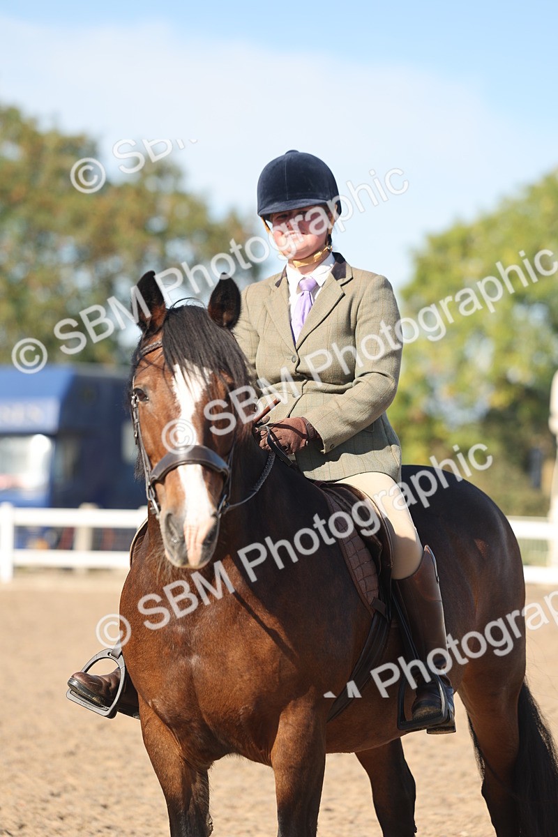 SBM_12383 - Class 304 - Ridden part Bred Horse Pony