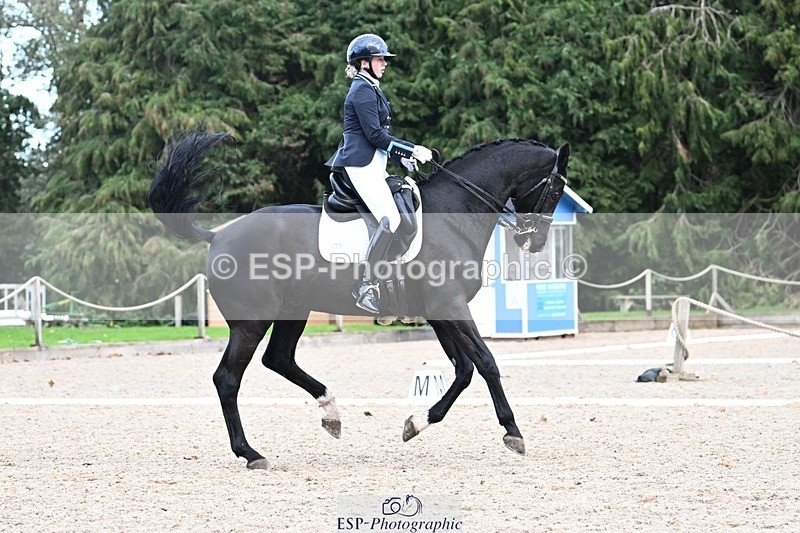 231110-144356-02018 - Cls 8 Medium 75Q