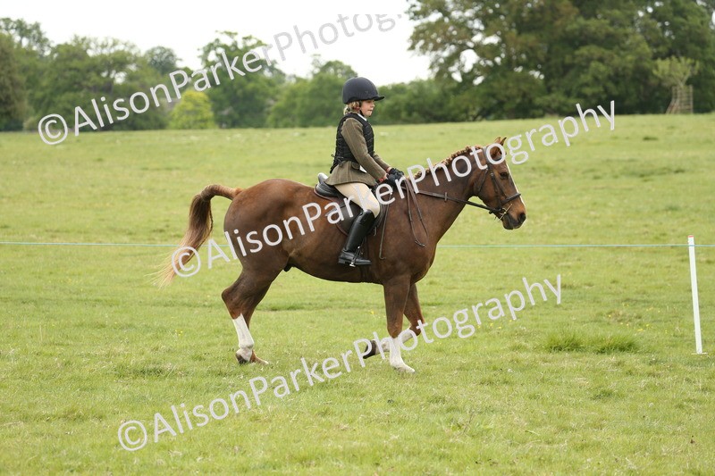 20250517-1236 - Class 21 - Novice Working Hunter